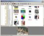 XnView
